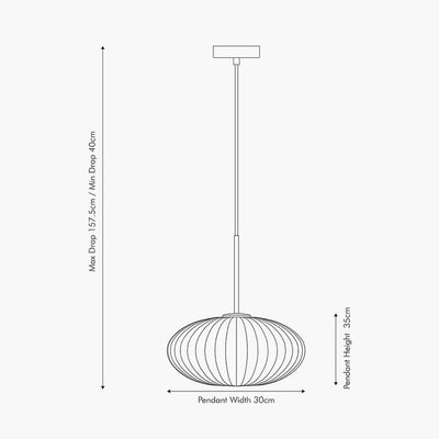 Pacific Lifestyle Lighting Emilia Clear Glass and Silver Metal Ribbed Oval Pendant House of Isabella UK