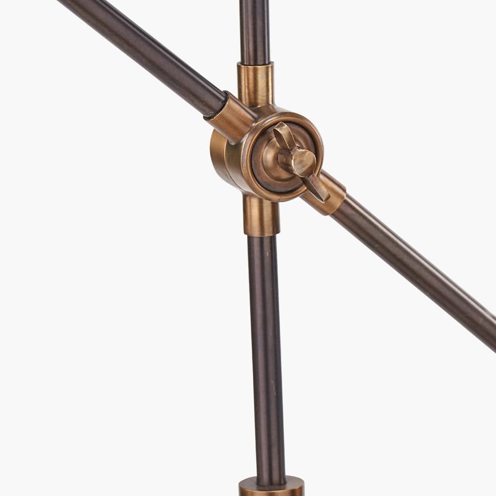 Emiliano Antique Bronze and Antique Brass Adjustable Task Floor Lamp.