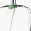 Hallie Clear Glass and White Shade Table Lamp.