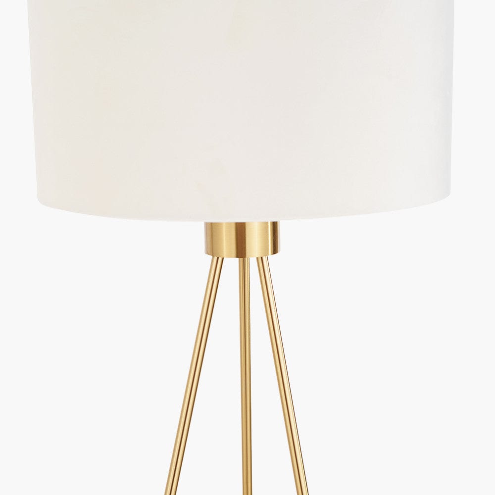 Pacific Lifestyle Lighting Houston Brushed Brass Metal Tripod Floor Lamp House of Isabella UK