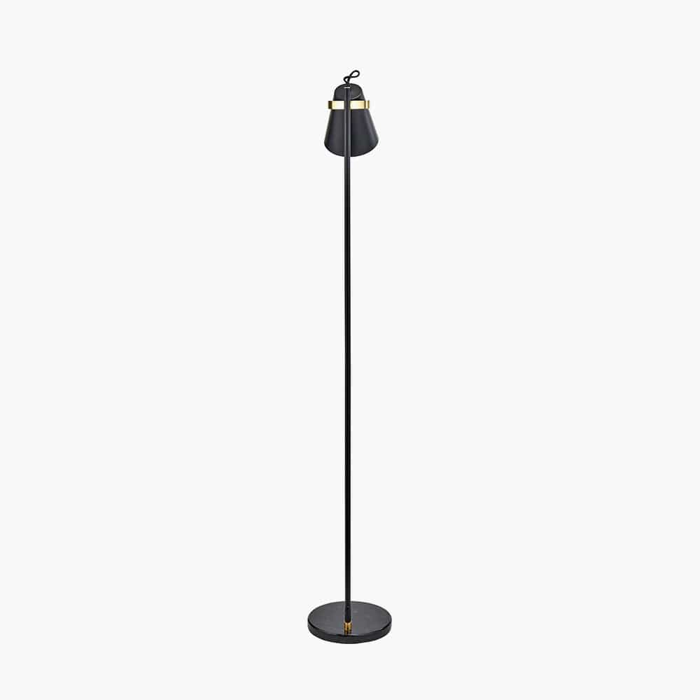Theia Black and Brushed Brass Task Floor Lamp.