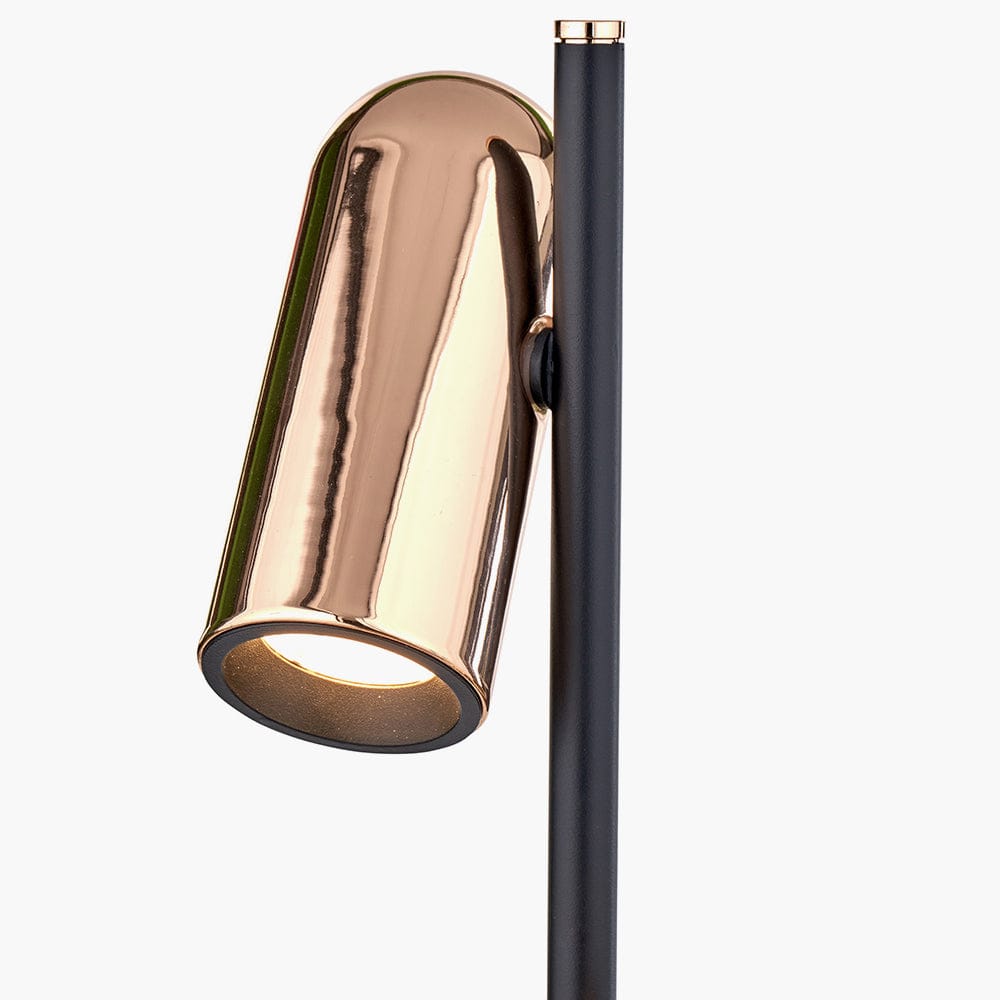 Xena Black and Rose Gold Metal LED Floor Lamp.