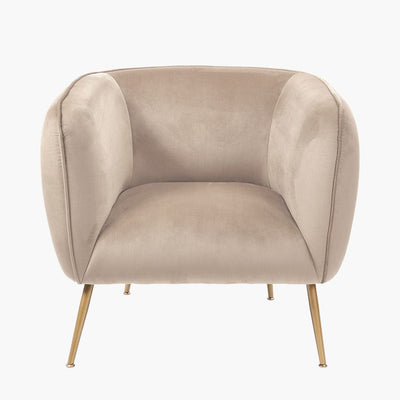 Pacific Lifestyle Living Lucca Biscuit Velvet and Metal Armchair House of Isabella UK