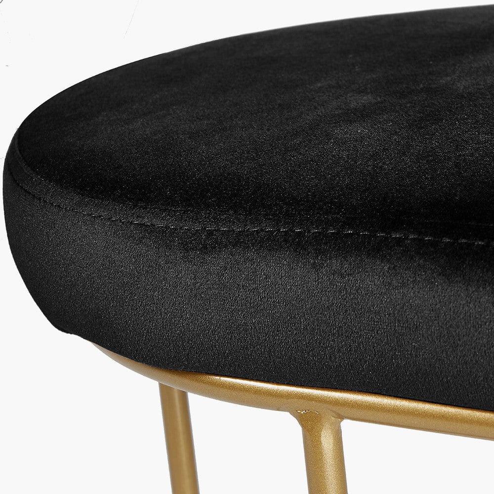 Nino Black Velvet Bench with Gold Metal Frame.