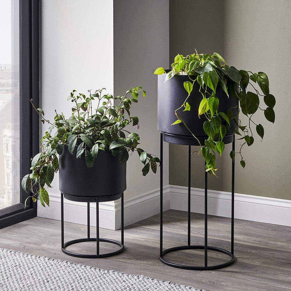 S/2 Graphite Metal Circular Planters.