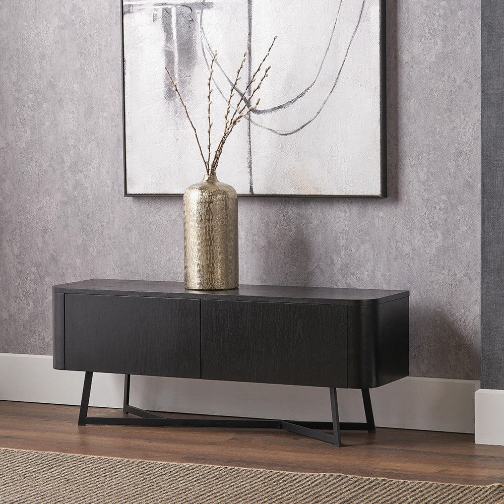 Ukiah Black Ash Veneer and Black Metal 2 Door Low Unit.