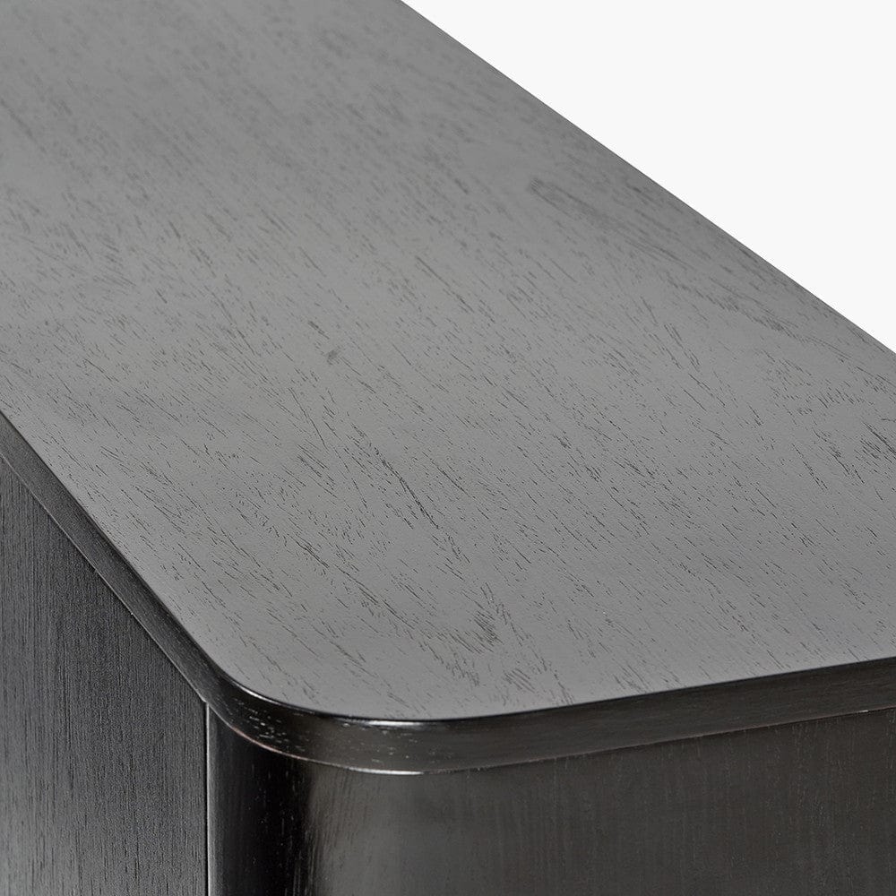 Ukiah Black Ash Veneer and Black Metal 2 Door Low Unit.