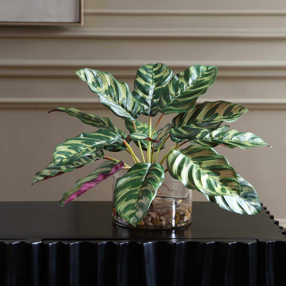 Peacock Plant Accent