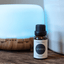 Quiet Blue Fragrance Oil MNPS/1 Essential oil Blend House of Isabella UK