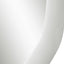 Amorphic Mirror - 68.5cm