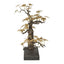 Bonsai Sculpture Small