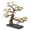 Bonsai Sculpture Small