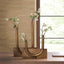 All About U Vases - Set of 2
