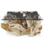 Center Root Coffee Table - Rectangle