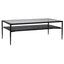 Collectors Coffee Table