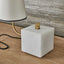 Blockhead Gooseneck Mini Lamp - Satin Brass