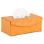 Richmond Interiors Accessories Decorative object Molly orange tissue box House of Isabella UK