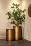 Richmond Interiors Accessories Planter Dira 45Ø (Brushed Gold) House of Isabella UK