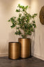 Richmond Interiors Accessories Planter Dira brushed gold 50Ø House of Isabella UK
