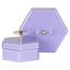 Richmond Interiors Accessories Storage box Jutta purple large House of Isabella UK