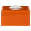 Richmond Interiors Accessories Storage box Lunia orange House of Isabella UK