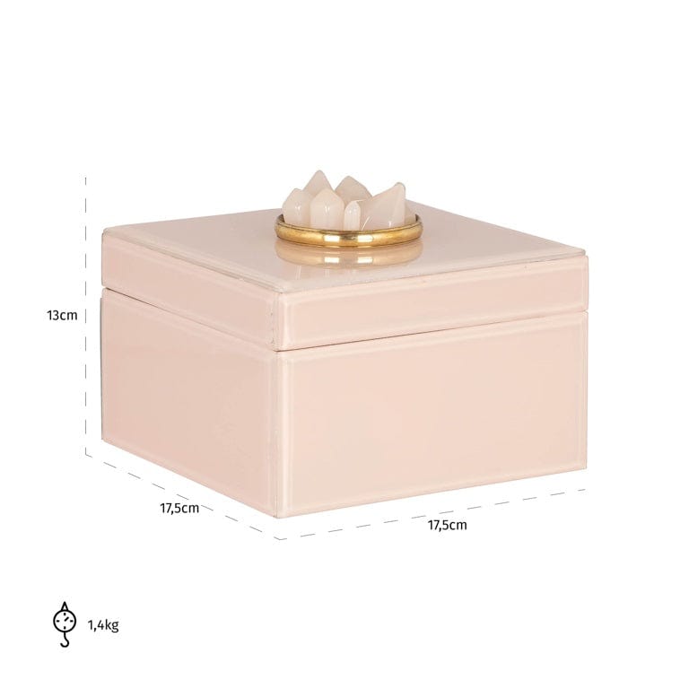 Richmond Interiors Living Storage box Jalisa (Pink) House of Isabella UK