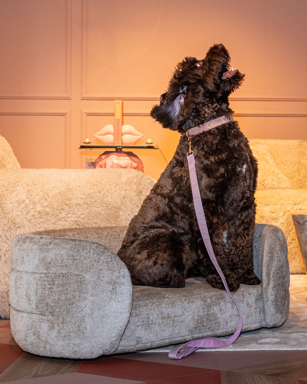 Richmond Interiors Sleeping Pet bed Bingo clay chenille House of Isabella UK