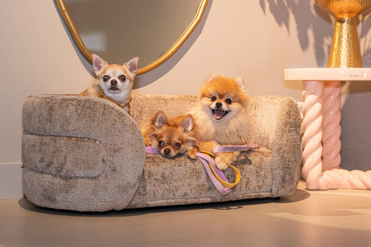 Richmond Interiors Sleeping Pet bed Bingo taupe chenille House of Isabella UK