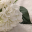 Rowen Homes Accessories Cream Faux Hydrangea Single Stem Flower House of Isabella UK