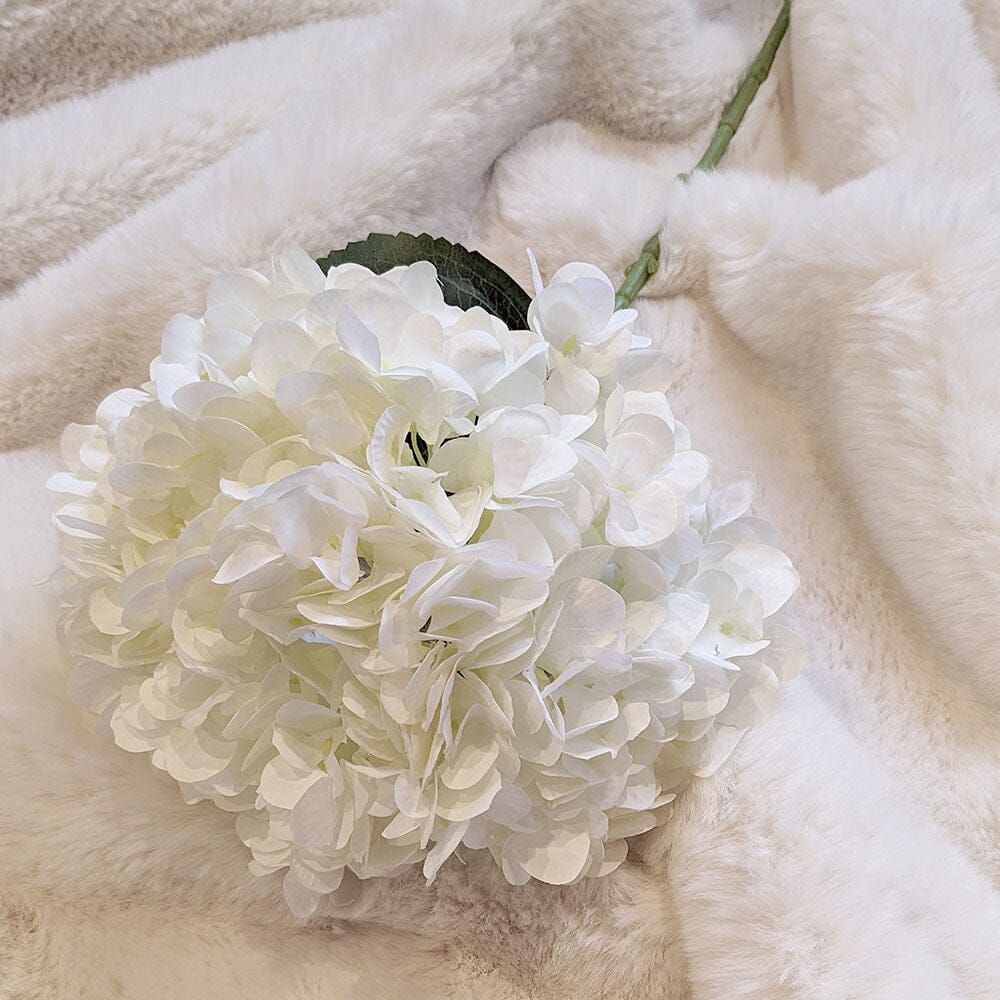 Rowen Homes Accessories Cream Giant Pom Pom Hydrangea Single Stem Flower House of Isabella UK