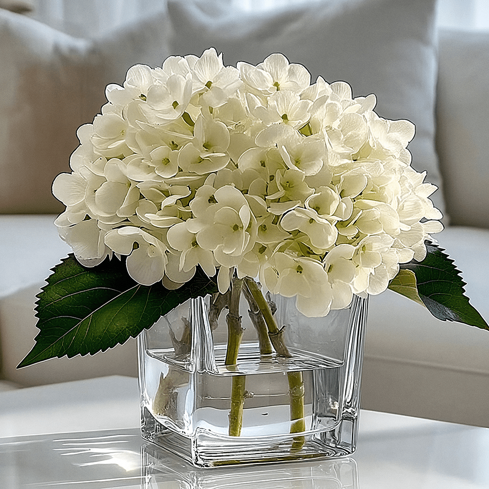 Rowen Homes Accessories Faux Cream Hydrangeas Floral Arrangement in Square Glass Vase House of Isabella UK