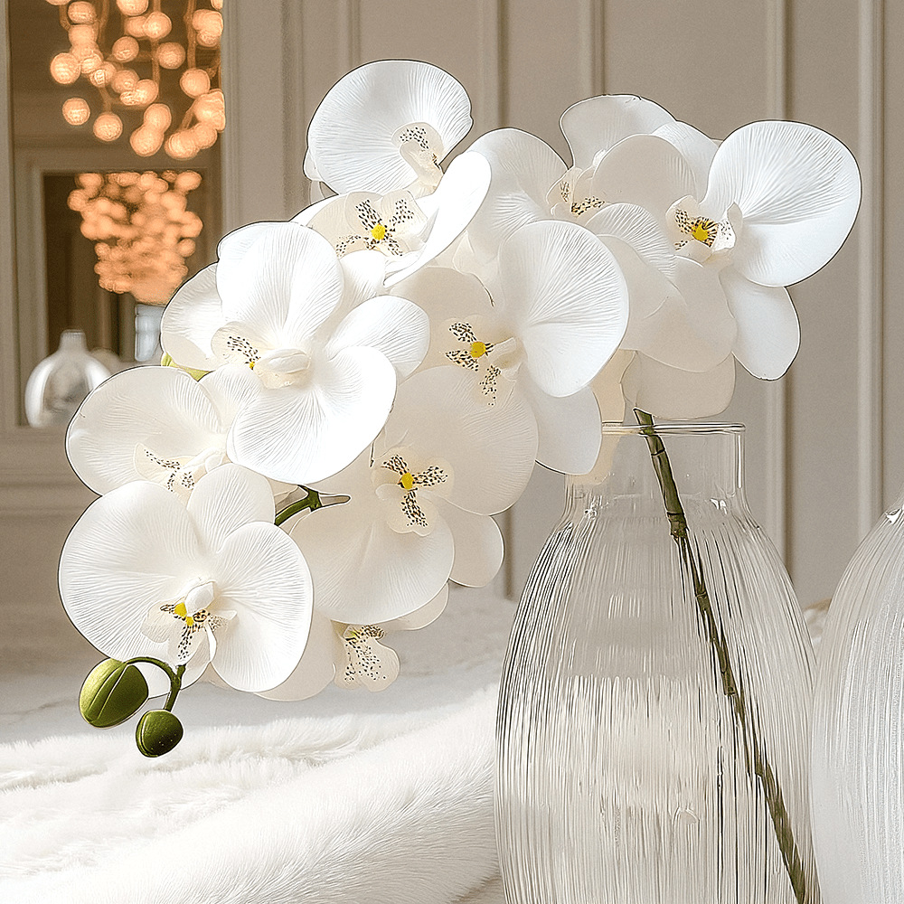 Rowen Homes Accessories Faux White Orchid Single Stem Floral House of Isabella UK