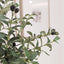 Rowen Homes Accessories Large Faux Potted Olive Tree House of Isabella UK