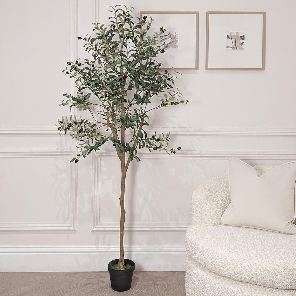 Rowen Homes Accessories Large Faux Potted Olive Tree House of Isabella UK