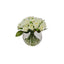 Rowen Homes Accessories Medium Cream Faux Rose Arrangement in Fishbowl Vase House of Isabella UK