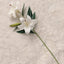 Rowen Homes Accessories White Faux Lily Single Stem Flower House of Isabella UK