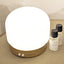 Rowen Homes Fragrance Jayla White & Gold Electronic Aroma Mist Diffuser Lamp House of Isabella UK