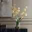 Spider Orchid In Glass Vase