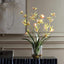 Spider Orchid In Glass Vase