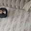 The Rugs Rugs Carmel Cream-Terra Abstract Rug | 6030 House of Isabella UK