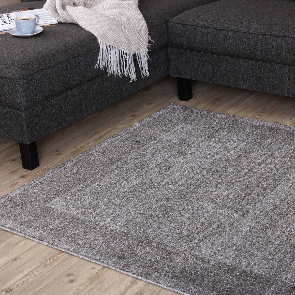 The Rugs Rugs Ephesus Modern Grey Rugs | 7437G House of Isabella UK
