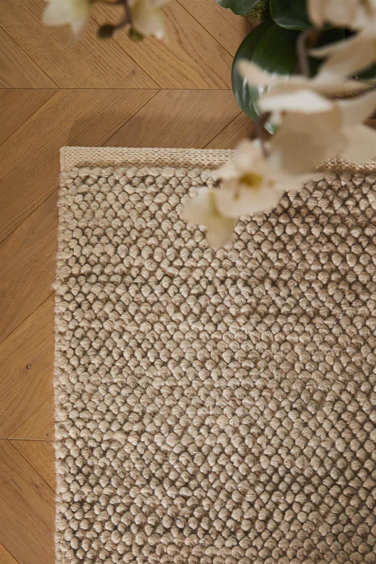 The Rugs Rugs La Playa Natural Solid Rug House of Isabella UK