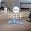 The Rugs Rugs Reef Mink Eco-Friendly Rug House of Isabella UK