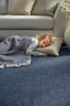 The Rugs Rugs Reef Navy Eco-Friendly Rug House of Isabella UK