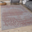 The Rugs Rugs Washable Rug Carina Pink | 6941P House of Isabella UK