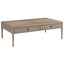 Thistlewood Storage Coffee Table in Riverwash Oak