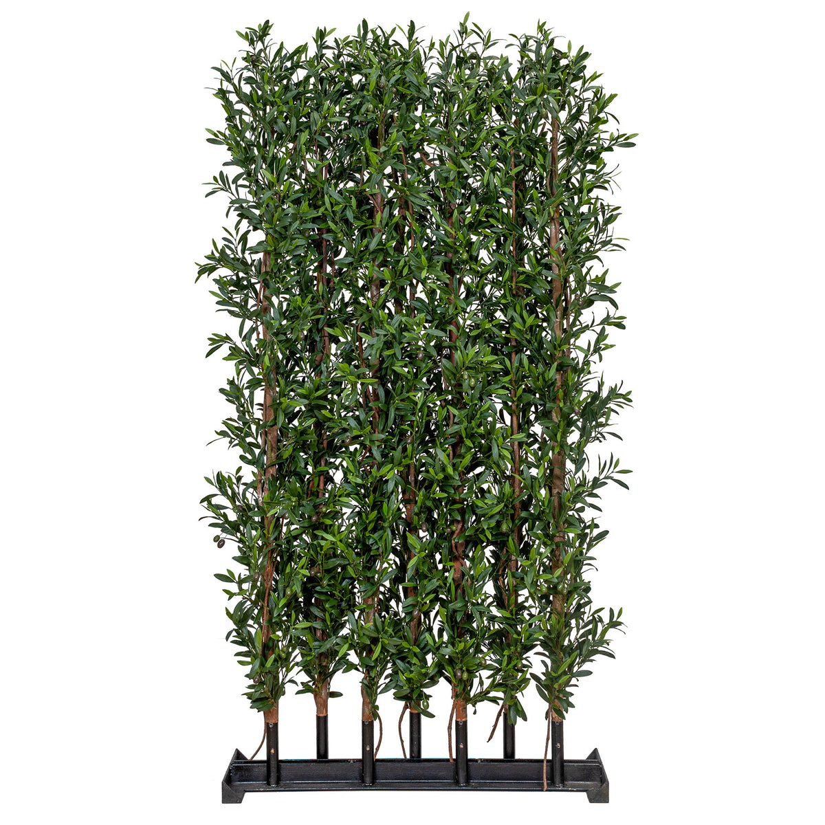 Greenwall Olive Hedge 180x120cm FR UV-S1