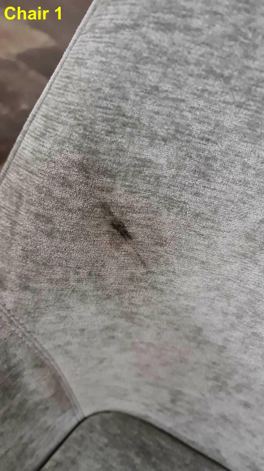 Polanco Dining Chair - Seamist ( Marks and scrapes ) | OUTLET.