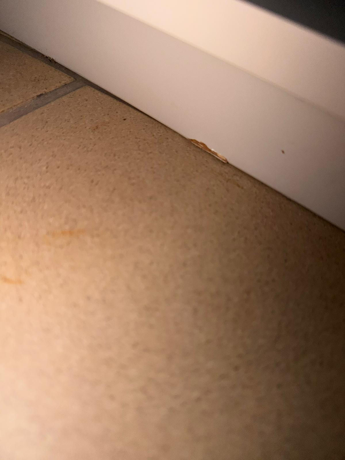 Tommy Franks Living Oakura Buffet - Matte Beige | OUTLET House of Isabella UK