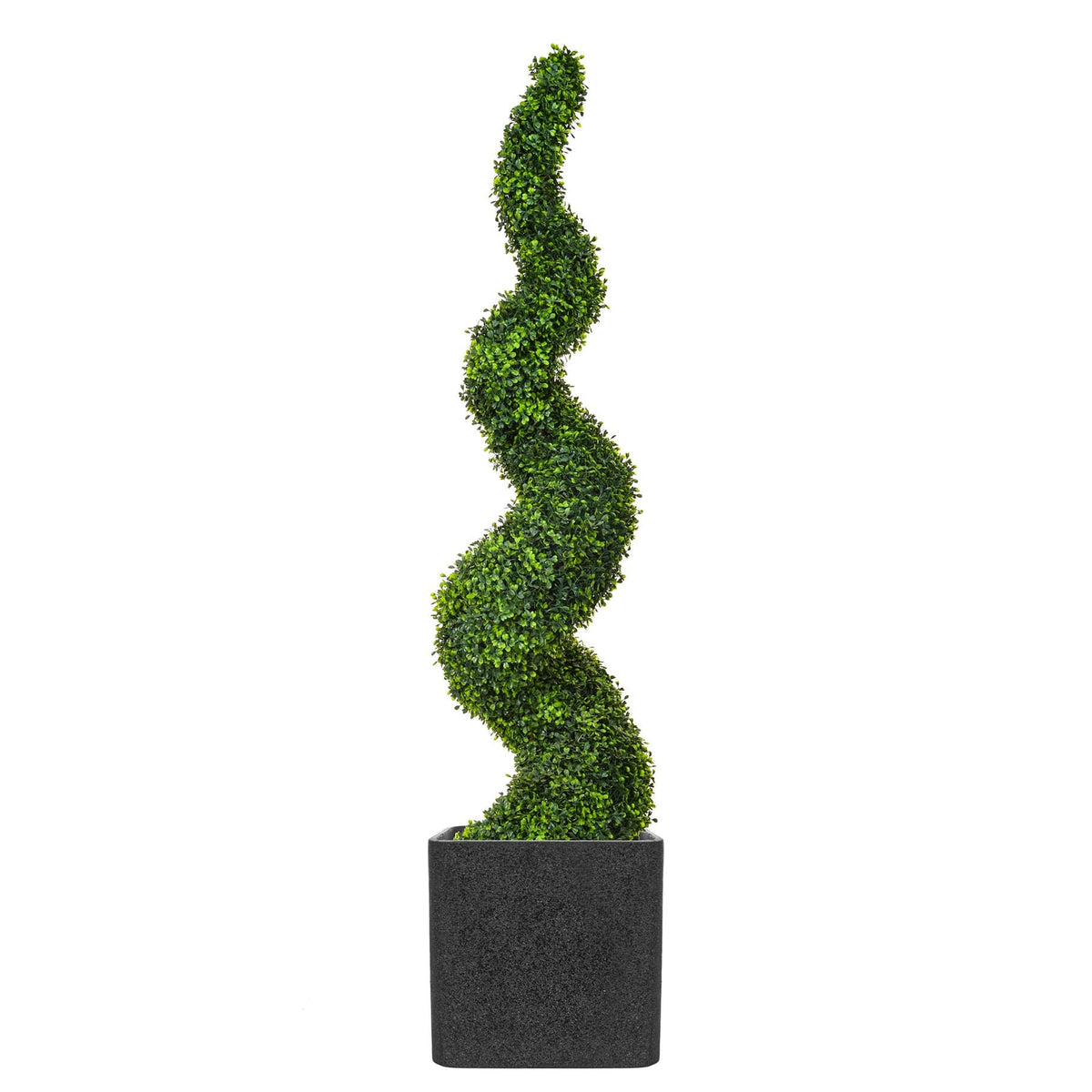 AN Boxwood Spiral in Grantio Pot 170cm UV.